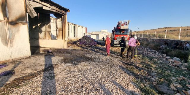 Pazarcık'ta Yangın: 60 Bin Tavuk Telef Oldu